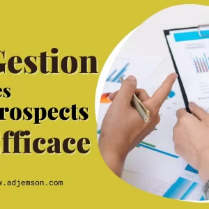 gestion des prospects marketing digital au cameroun lead management prospection digitale afrique lead scoring lead magnet lead generation