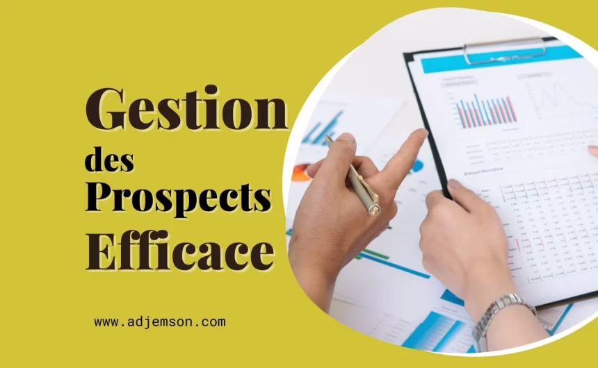 gestion des prospects marketing digital au cameroun lead management prospection digitale afrique lead scoring lead magnet lead generation